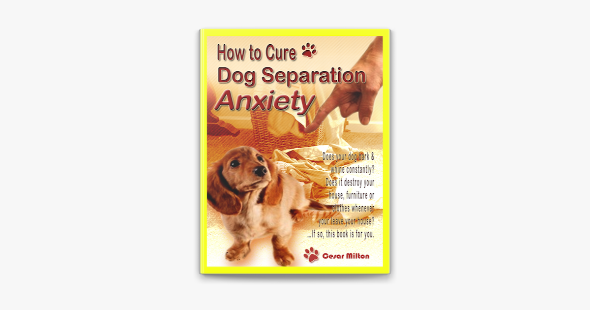 The How-To Guide to Curing Dog Separation Anxiety by Cesar Milton