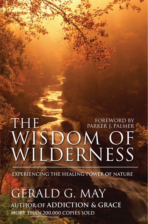 The Wisdom of Wilderness cover