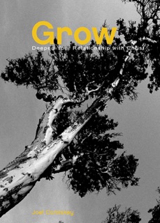 Grow by Joel Comiskey