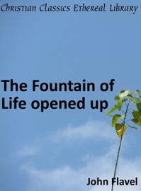 Fountain of Life Opened Up - John Flavel