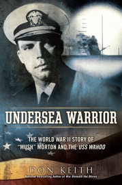 Undersea Warrior - Don Keith