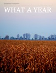 What a Year