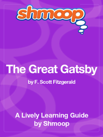 The Great Gatsby (Study Guide)