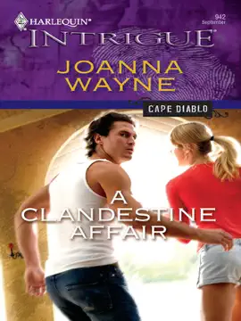 Read: A Clandestine Affair Book