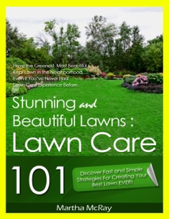 Lawn Care 101 by Martha McRay