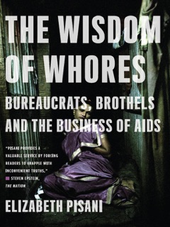 The Wisdom of Whores: Bureaucrats, Brothels and the Business of AIDS by Elizabeth Pisani