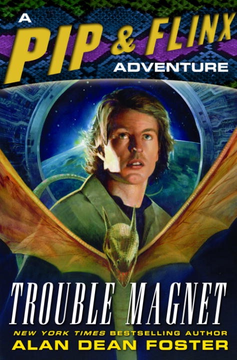 Trouble magnet cover