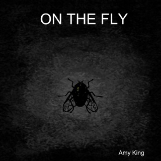On the Fly by Amy King