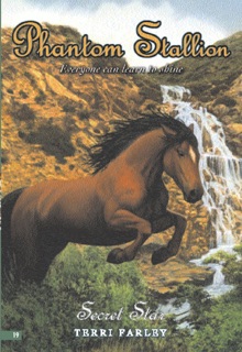 Phantom Stallion #19: Secret Star by Terri Farley