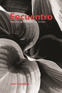 Encuentro by Joel Comiskey