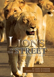 Lions in the Street - Hans Schneider & James Schneider