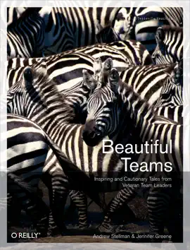 Read: Beautiful Teams Book