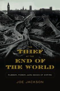 The Thief at the End of the World by Joe Jackson