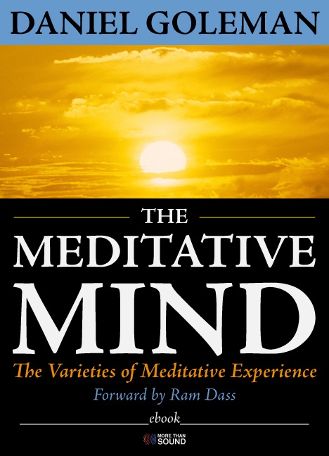 The Meditative Mind cover