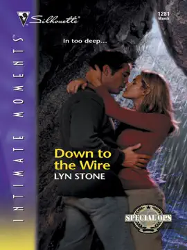 Read: Down to the Wire Book