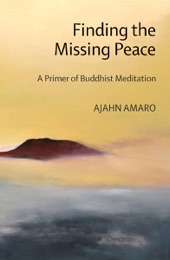 Book cover for Finding the Missing Peace by Ajahn Amaro