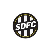 Book cover for Soccer Domain Football Club by Kieran Patrick