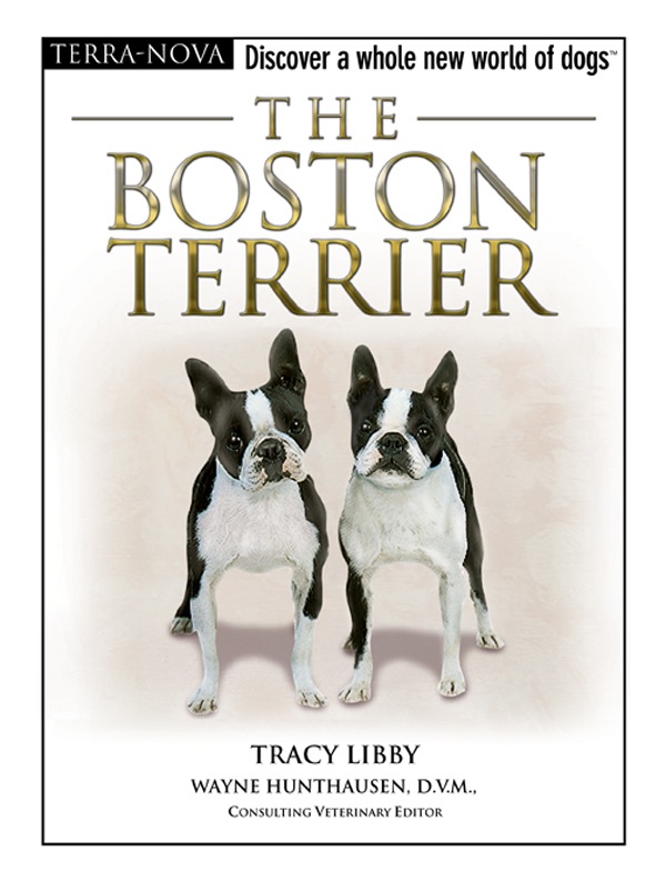 The Boston terrier cover