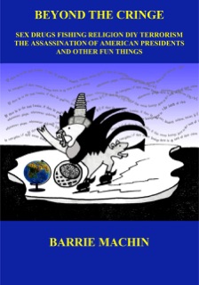 Beyond the Cringe by Barrie Machin