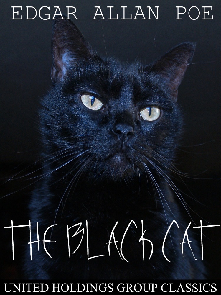 The Black Cat cover