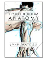Fly In the Room Anatomy