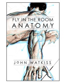 Fly In the Room Anatomy - John Watkiss