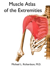 Book cover for Muscle Atlas of the Extremities by Michael L. Richardson