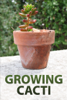 Growing Cacti - Authors of Instructables