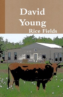 Rice Fields by David Young