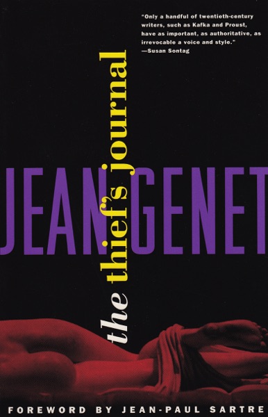 Cover of The Thief’s Journal