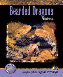 Bearded Dragons
