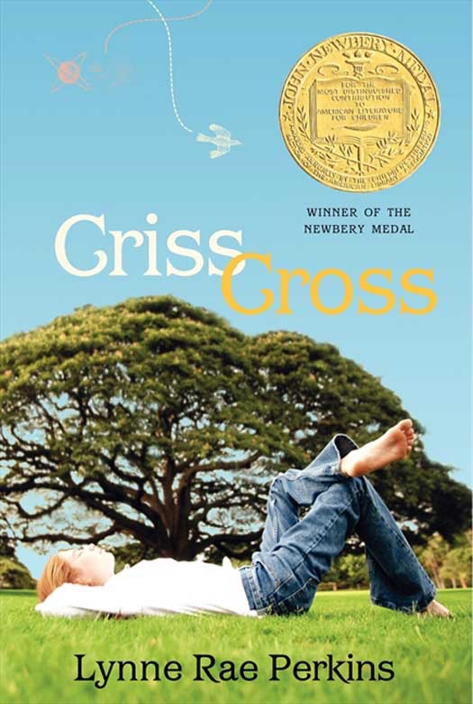 Criss cross cover