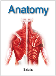 Anatomy Miniatlas