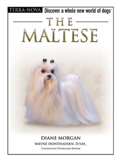 The Maltese by Diane Morgan