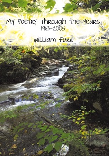 Among Enemies: a Young Woman's Fight for Survival in Nazi Germany by Melanie Wilson