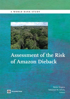 Assessment of the Risk of Amazon Dieback by Walter Vergara & Sebastian M. Scholz