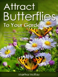 Attract Butterflies to Your Garden