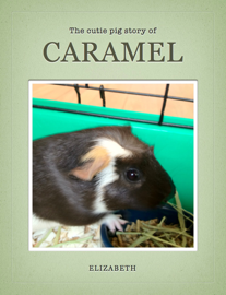 Caramel the Guinea Pig