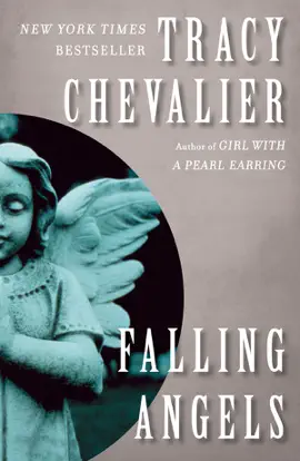 Read: Falling Angels Book