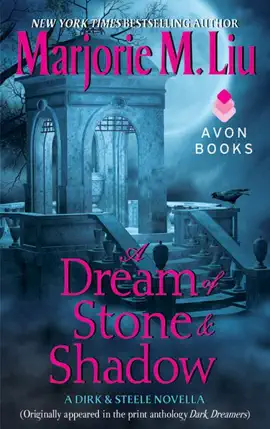 Read: A Dream of Stone & Shadow Book