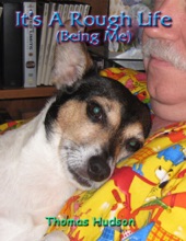 Book cover for It's a Rough Life (Being Me) by Thomas Hudson
