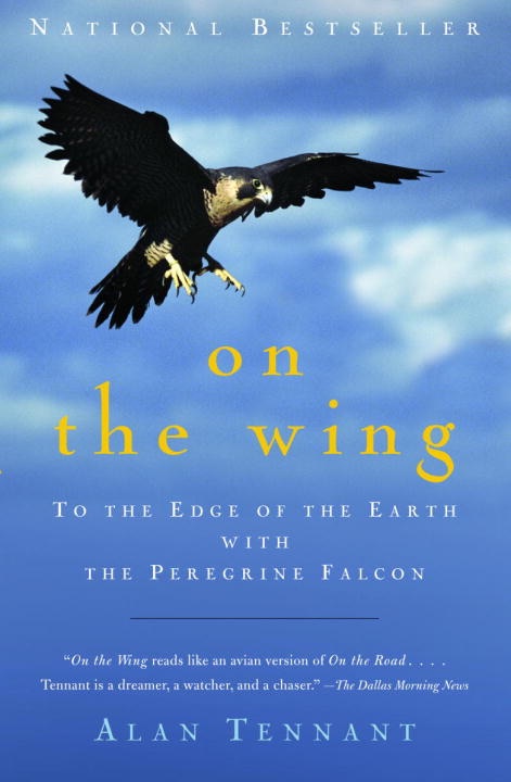 On the wing cover
