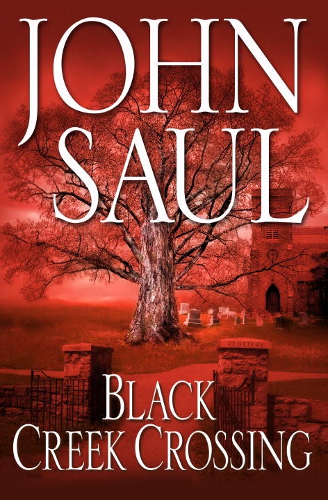 Black Creek Crossing cover