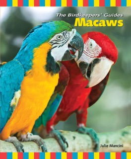 Macaws by Julie Mancini