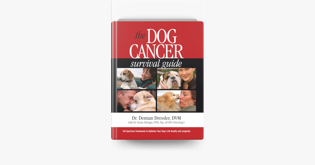 dog cancer survival guide