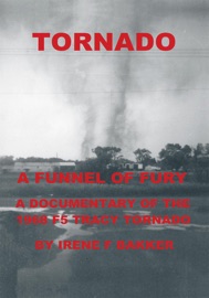 Tornado - Irene F Bakker