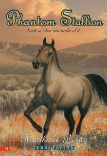 Phantom Stallion #13: Heartbreak Bronco by Terri Farley