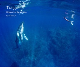 Tonga!!! See the Humpbacks - Tim Rock