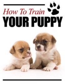 How to Train Your Puppy eBook Legend