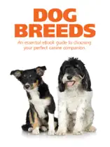 Dog Breeds